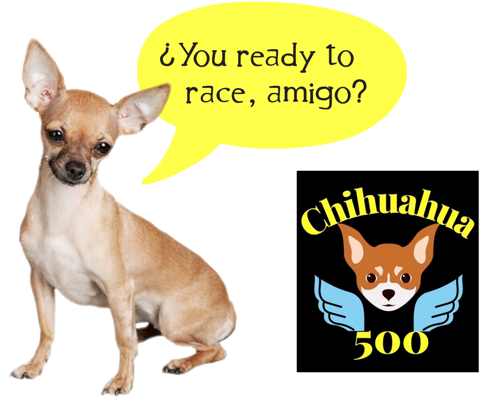 Chihuahua 500 - Woods Creek Dog Rescue